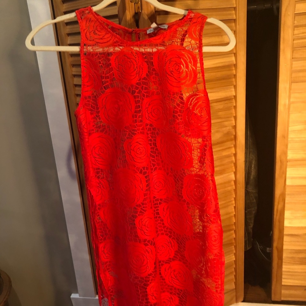Ladies beach cover up. Or dress with slip.